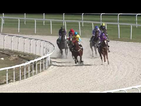 2020.09.20. 04. futam - DÁMAVERSENY HENDIKEP (V.o.) (szintetikus pálya)