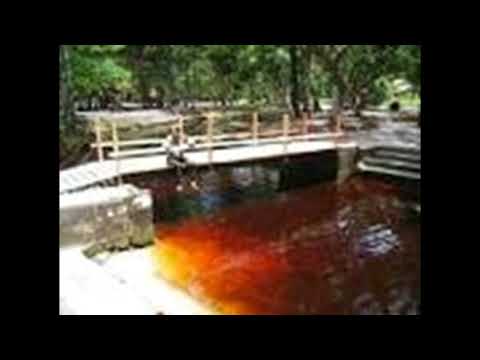 THE COSMO STARS  Andi un ta du