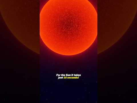 The Biggest Star in The Universe