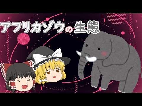 20 世紀初頭から 21 世紀初頭までのゾウの個体数の減少を示す世界地図: 緑色でアフリカゾウの生息範囲 (当初はアフリカ大陸の下半分以上、残っている斑点はおよそ 1/2 未満をカバー) 3)そして黄土色のアジアゾウの範囲(最初はインド全土と南アジアのかなりの部分、いくつかの珍しい場所が残っています)