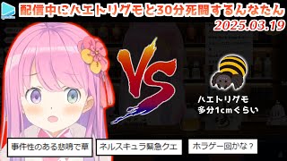 突如部屋に現れた1匹の小さなクモに悲鳴をあげながら討伐を試みるHR140んなたん【2025.03.19/姫森ルーナ/ホロライブ切り抜き】