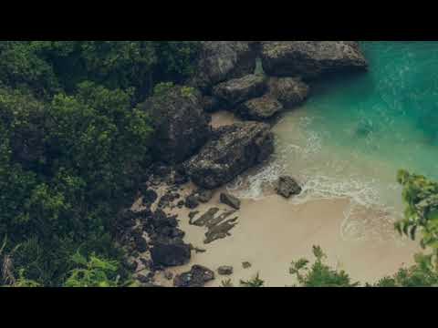 ALDENMARK NIKLASSON - TO THE WOLVES Cover By Unknown