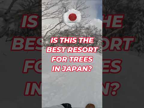 Music video / skiing edit at Kiroro
