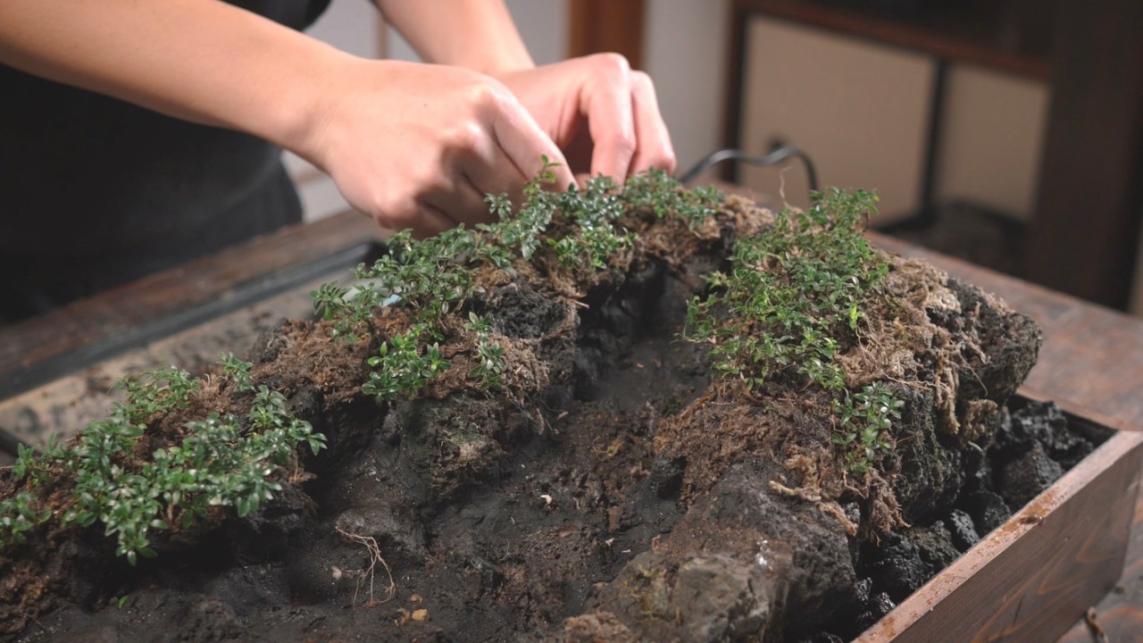 渓谷の滝を表現した小さな世界