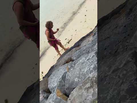 Mauritius beach view #beach #mauritius