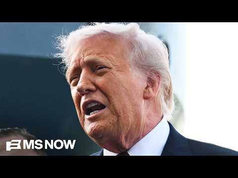 GOP PANIC setting in over midterms as Trump begins BLAME game