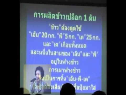 ปุ๋ยสั่งตัดตอนที่ 6/6 วงจรธาตุอาหารพืชในนาข้าว title=