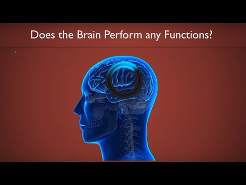 Experiential Reality - Part 2 - The Brain is Superfluous