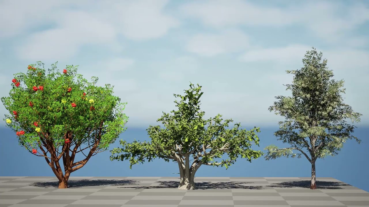 Pakiet drzew marokańskich Model 3D