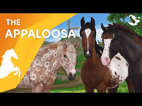 The Gen 3 Appaloosa! 😍🎠 | Star Stable Horses