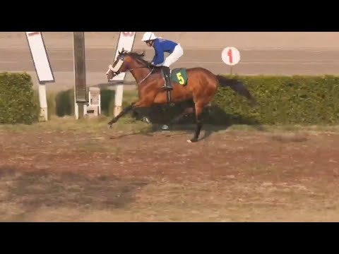 4th Race 1400 Mtr Stewards Cup Winner Jupiter Ridden By Jockey Awais Anjum Trained By Rashid Lateef