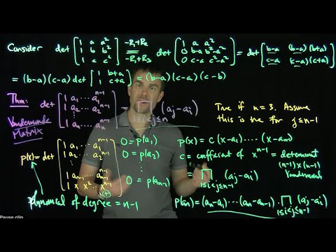 Vandermonde Matrices