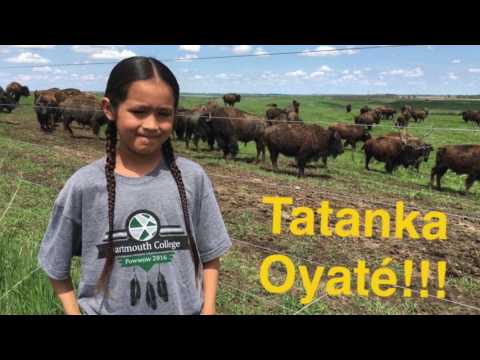 Marty Indian School Language Preservation