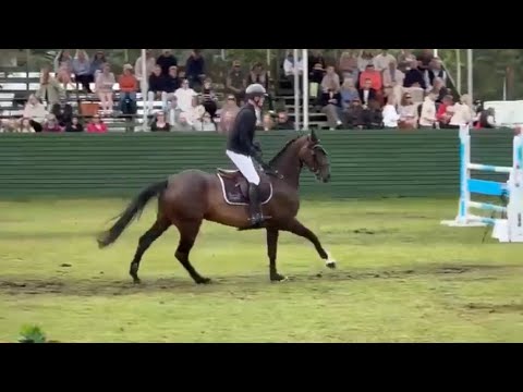 Instant Love M - Show