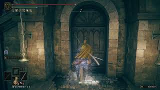 【ELDEN RING】忘れた頃のDLC#2