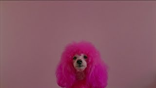 Let Me Be Your Weakness feat. Bixby