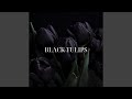 Black Tulips