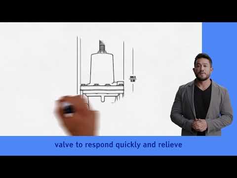 P289 Back Pressure Regulator