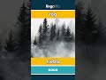 fog - niebla video thumbnail