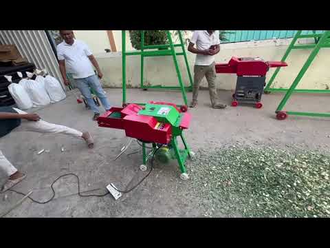 Fresh grass chaff cutter with motor, 600-1000 kg/hr, 3 hp