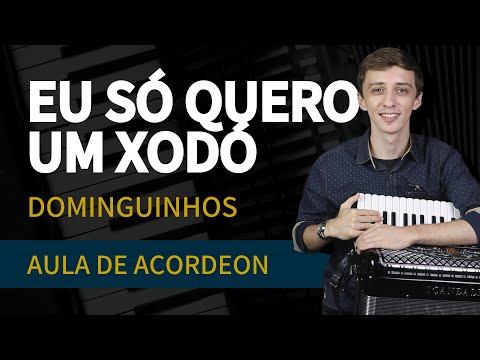 Eu só quero um Xodó - Dominguinhos (Versão para Iniciantes) | Aula de Acordeon
