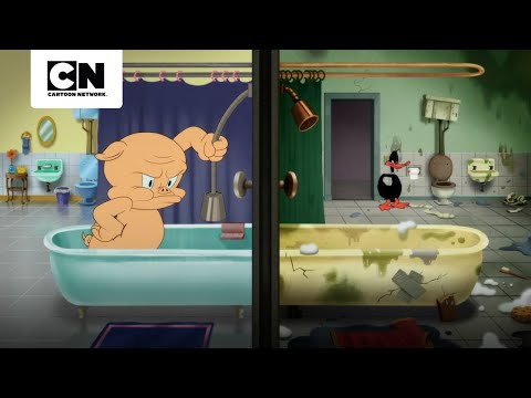 DUCHA DE CONFUSÃO | LOONEY TUNES CARTOON | CARTOON NETWORK