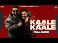 New Haryanvi Songs 2024 | Kale Kale Maal (( slowed and reverb bass boosted) Rana Brass |