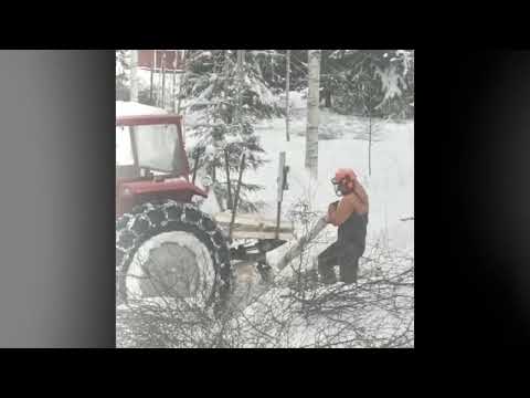 Taimikonhoitoa talvella