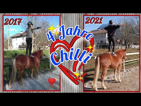 4 Jahre Huzule Chilli ❣️ Fotoshooting ➡️ vorher - nacher Bilder | vor 4 Jahren 1. Pferd gekauft...