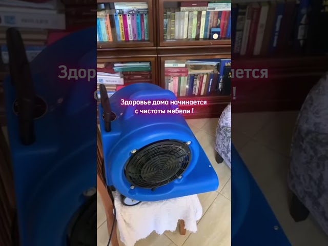 Здоровье дома начинается с чистоты мебели
