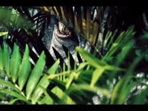 ¿Cuantos años vivieron los dinosaurios en la Tierra