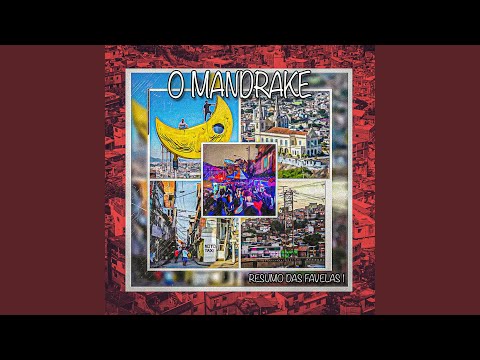 Resumo das Favelas 1