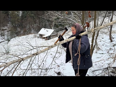 Ekta vetrarlíf í Karpatafjöllum: Ferð konu í skógi ❄️🌲
