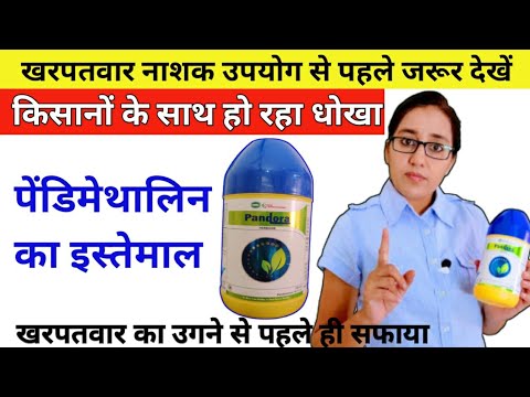 Pandora Herbicide uses in Hindi | Pendimethalin 38.7 ec use | Kharpatwar Nashak Dawa ka naam