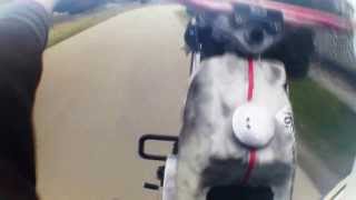 LET'S TAKE A RIDE Music Video