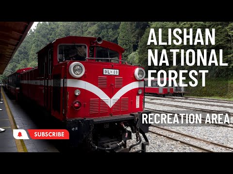 Área de recreação da floresta nacional de Alishan Área de recreação da floresta nacional de Alishan Sua melhor fuga em 4K