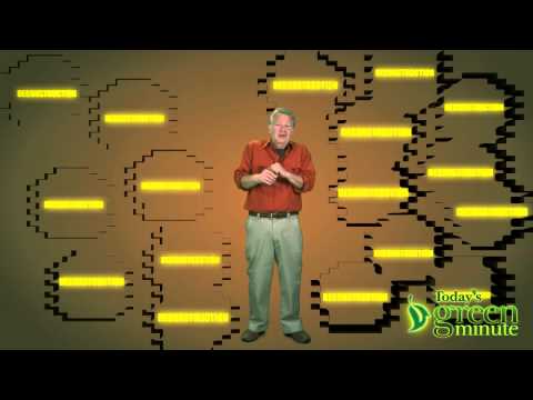 My House Is Deconstructing! | Video