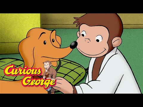 George Goes to the Doctor 🐵 Curious George 🐵 Kids Cartoon 🐵 Kids Movies