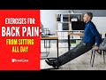4 Exercises to Fix Back Pain From Sitting All Day