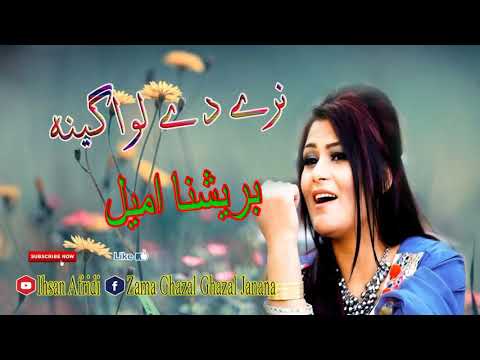 Brishna Amil New Tapay 2019 |Naray Dy Lawageena Janana|