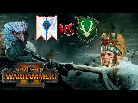 2 Arcane Phoenixes, 1 Larry | High Elves vs Wood Elves - Total War Warhammer 2