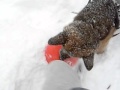Skyler Snow Storm 2012