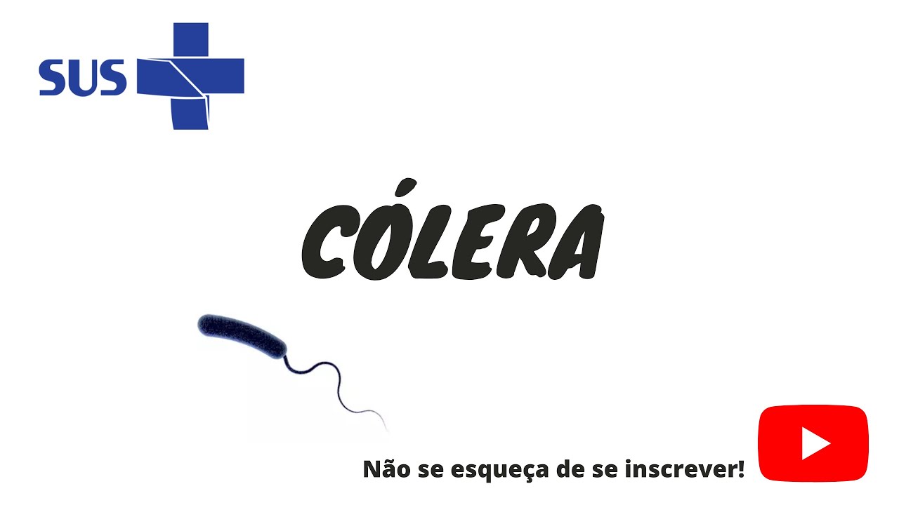 Cólera - tudo o que você precisa saber!