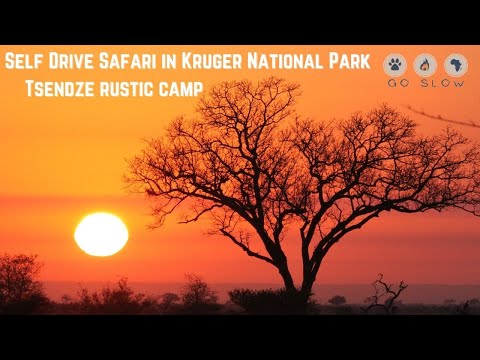 SELF DRIVE SAFARI REVIEW OF TSENDZE RUSTIC CAMP IN KRUGER NATIONAL PARK