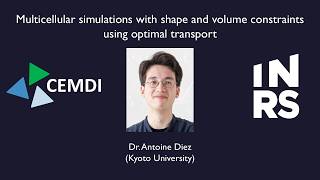 3rd CEMDI-PAIMS Symposium: Dr. Antoine Diez (Kyushu University)
