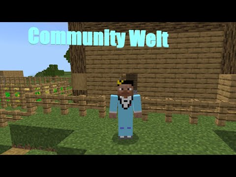 Join the Craziest Minecraft Community World