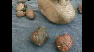 GEDC0799.MOV Pseudo-morphs