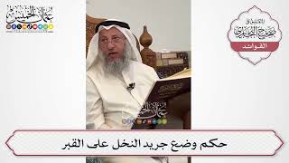 [593] حكم وضع جريد النخل على القبر - عثمان الخميس