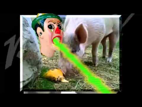 Piggy - JJCNV