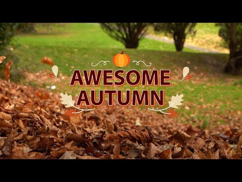 Awesome Autumn Song BSL | British Sign Language Songs | BSL Songs